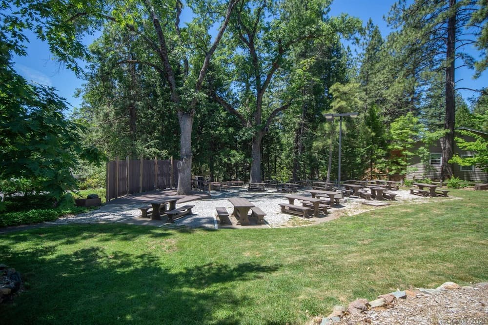 Photo of Outdoor in Forest Meadows
