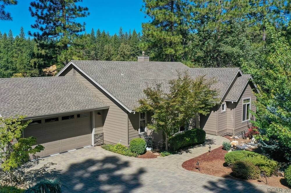 Photo of Outdoor in Forest Meadows