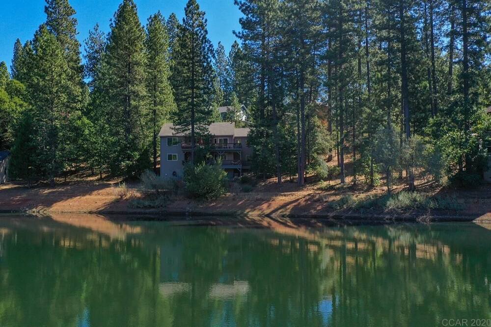 Photo of Outdoor in Forest Meadows