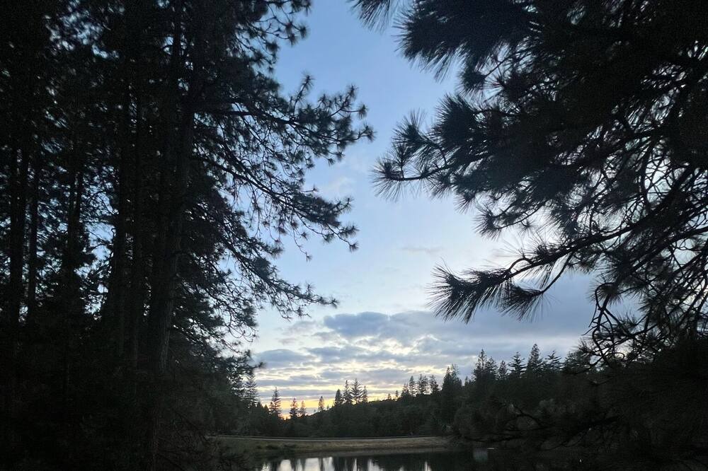 Photo of Others in Forest Meadows