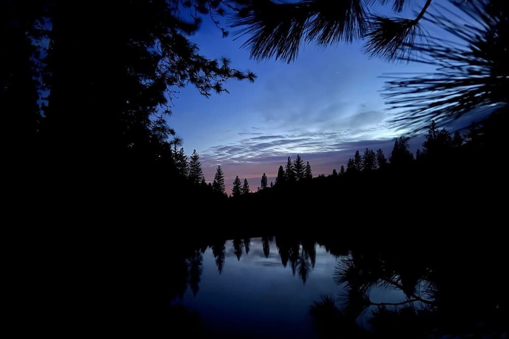 Photo of Outdoor in Forest Meadows