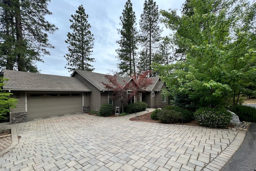 Photo of Outdoor in Forest Meadows