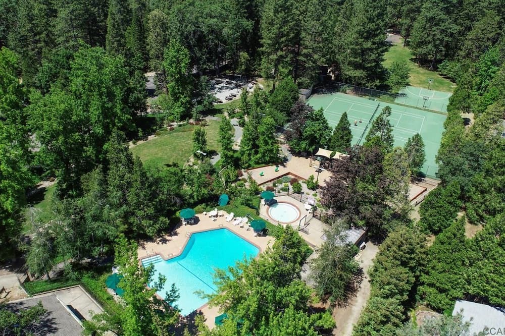 Photo of Outdoor in Forest Meadows
