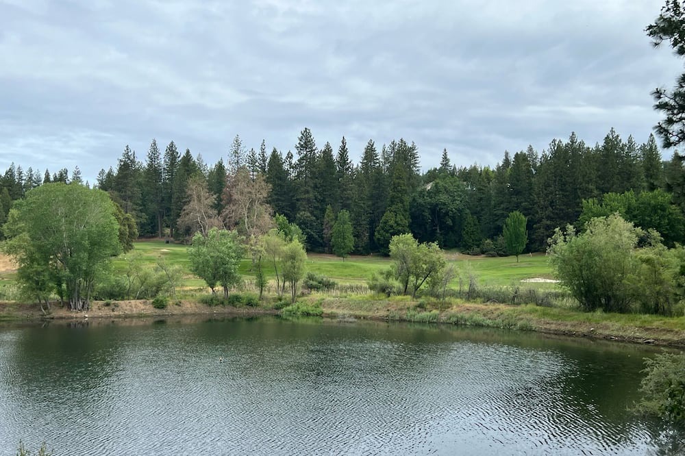 Photo of Outdoor in Forest Meadows