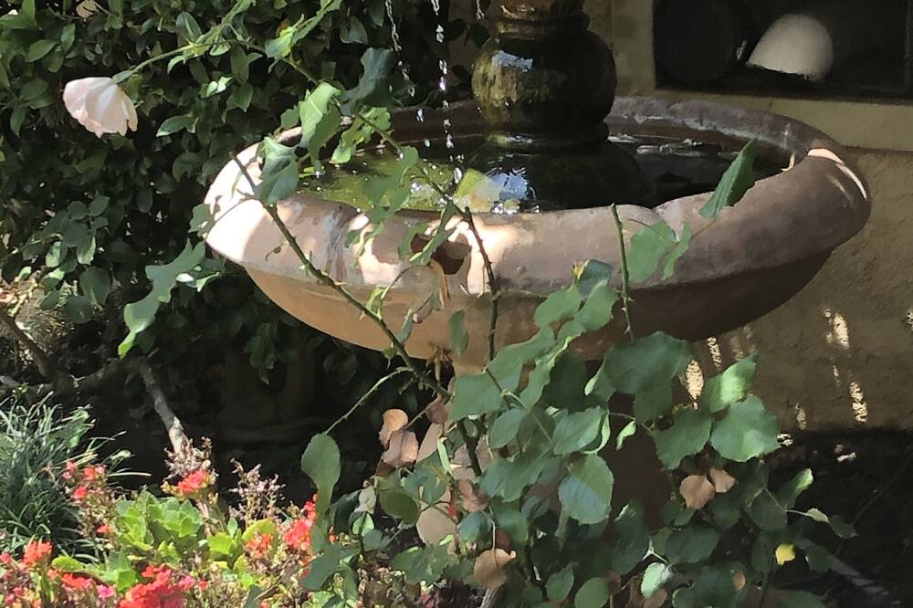Photo of Outdoor in Westwood