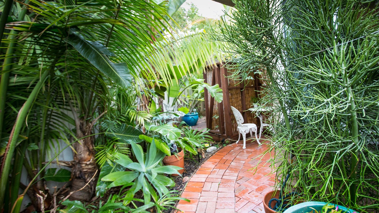 Photo of Outdoor in Aliso Viejo