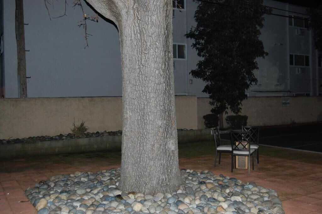 Photo of Patio Balcony in Pleasant Hill