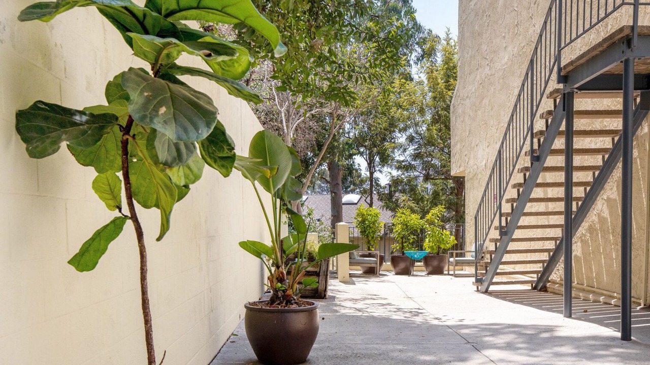 Photo of Outdoor in Pacific Palisades