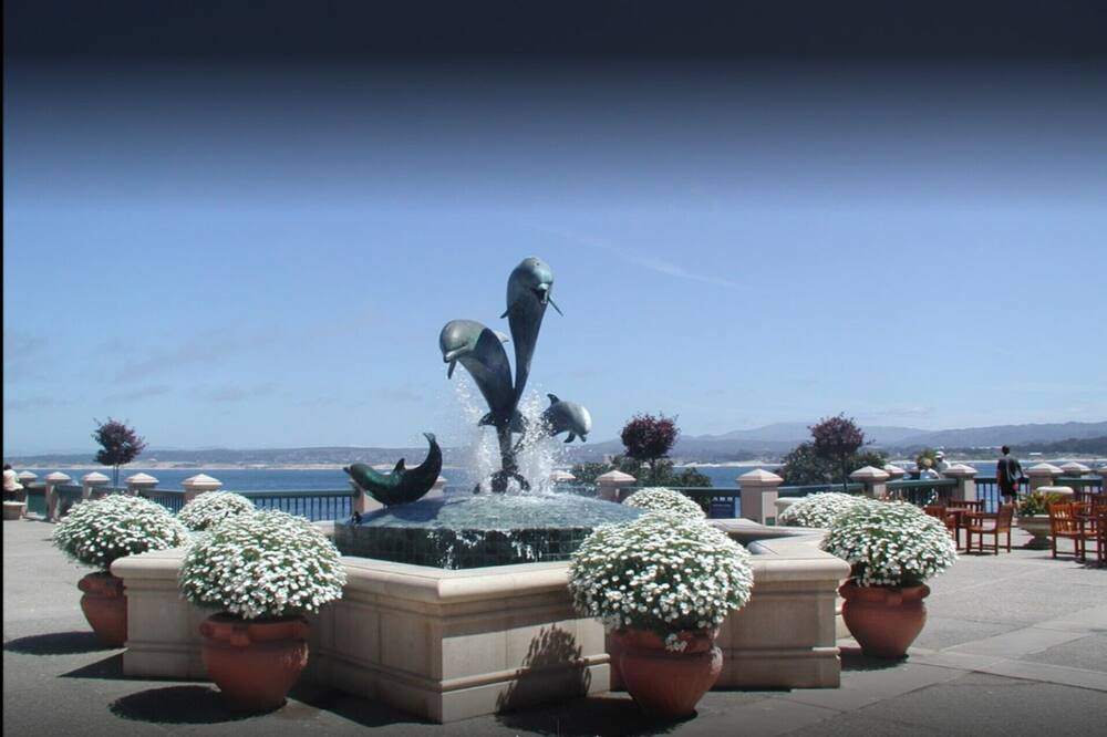 Photo of Outdoor in Marina