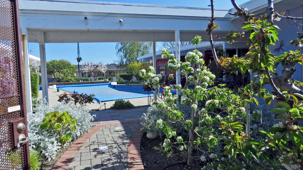 Photo of Outdoor in East San Jose