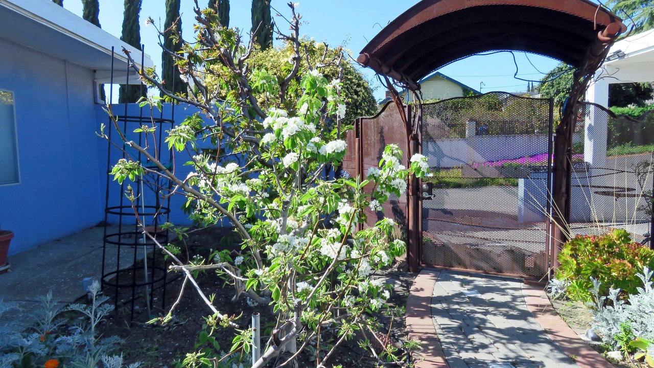 Photo of Outdoor in East San Jose