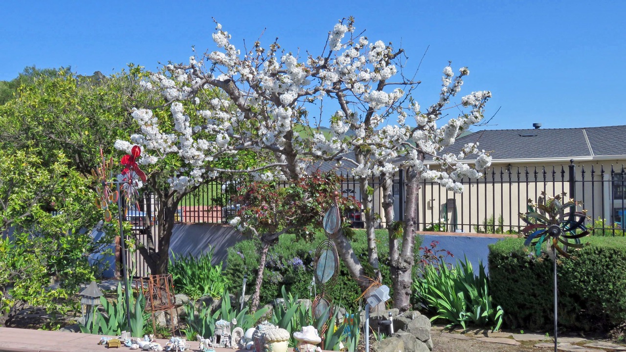 Photo of Outdoor in East San Jose