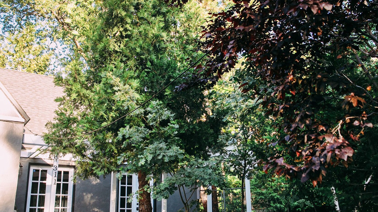 Photo of Outdoor in Cedar Glen
