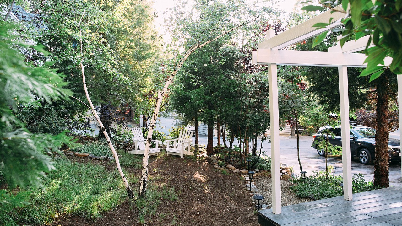 Photo of Outdoor in Cedar Glen