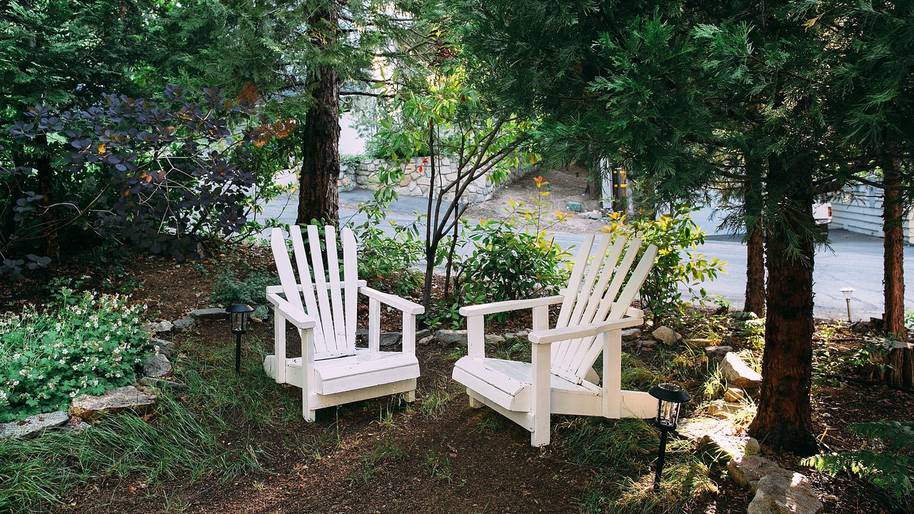 Photo of Outdoor in Cedar Glen