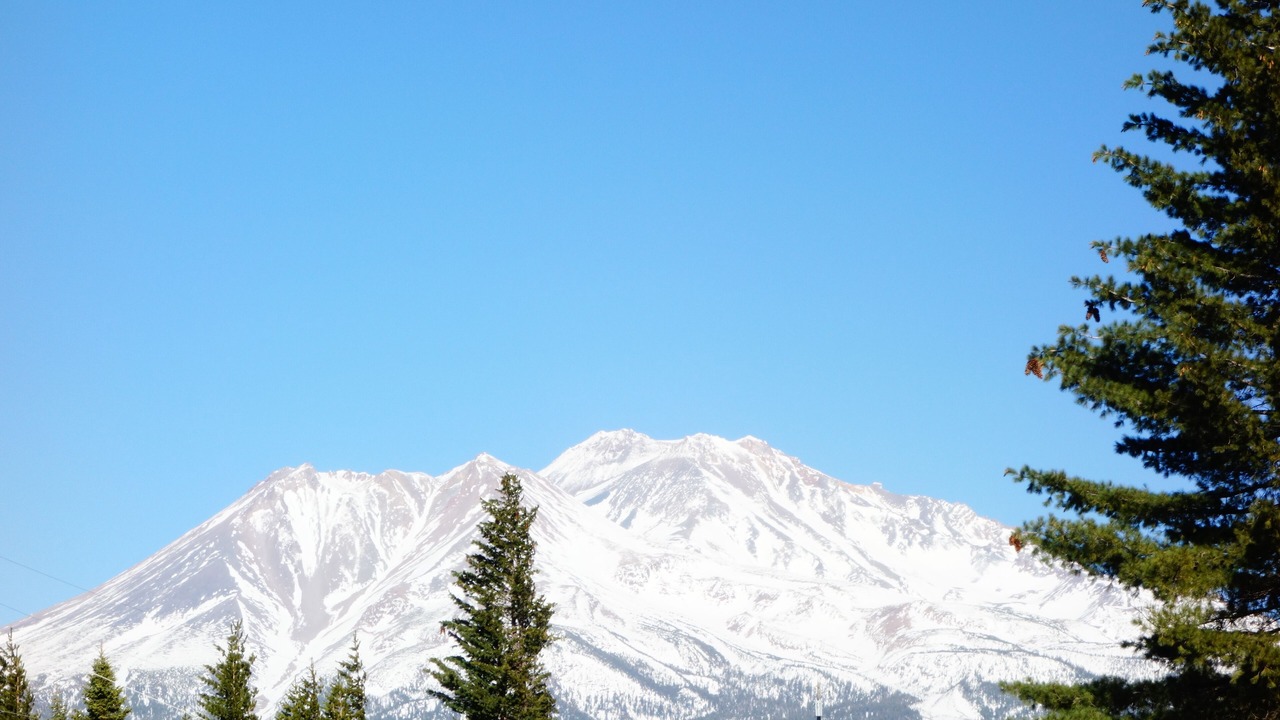 Photo of Others in Mount Shasta