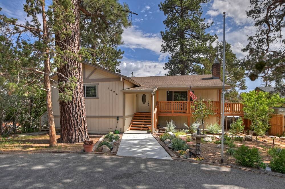 Photo of Outdoor in Whispering Forest