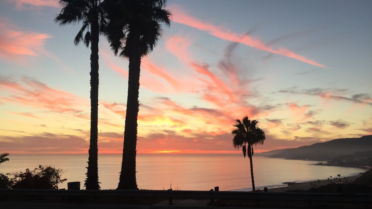 Photo of Others in Pacific Palisades