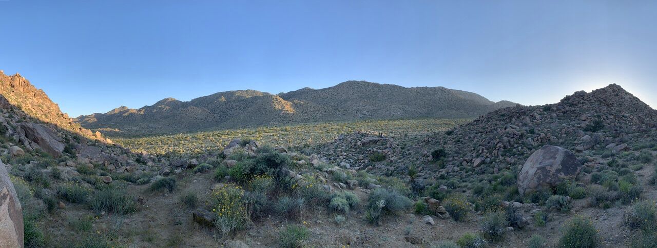 Photo of Outdoor in Joshua Tree Highlands