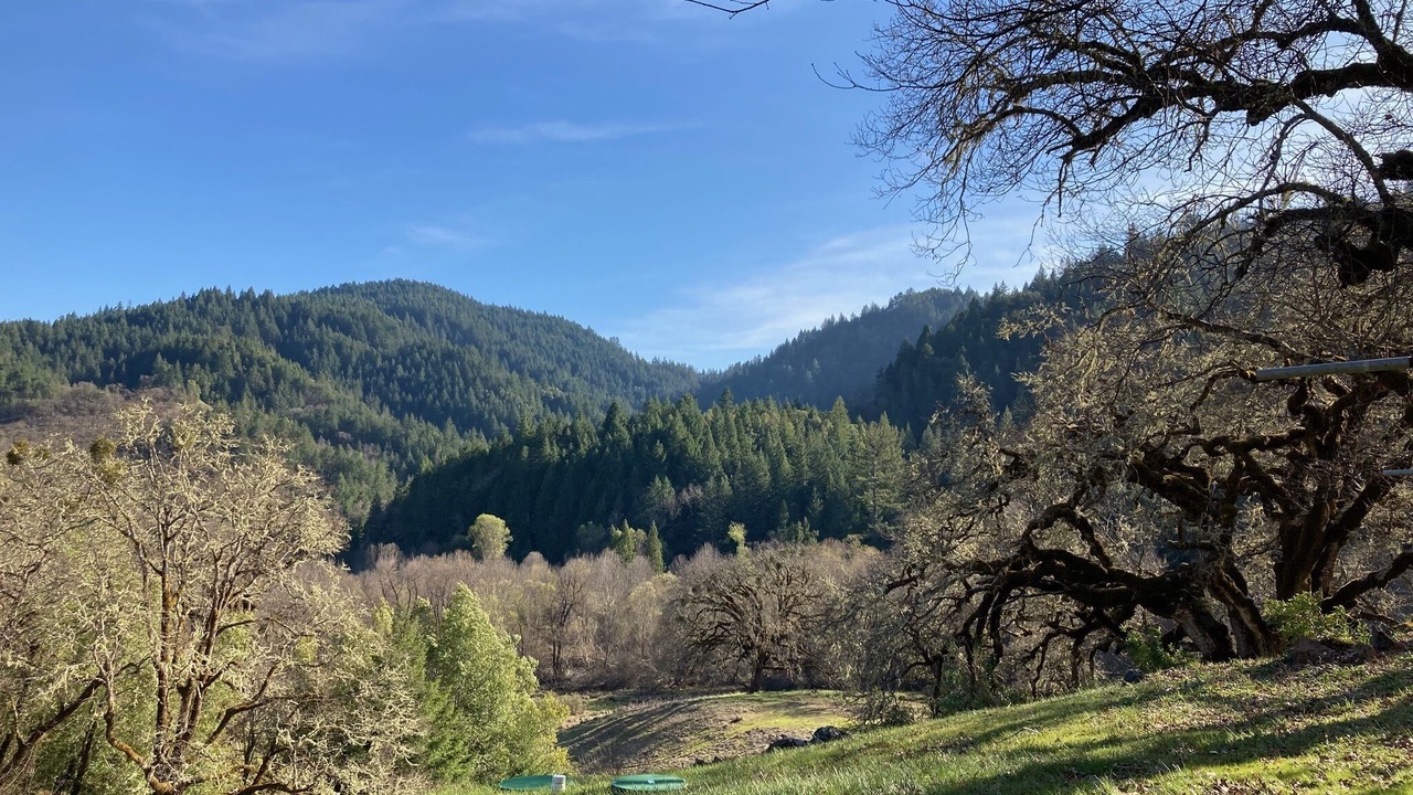 Photo of Others in Willits