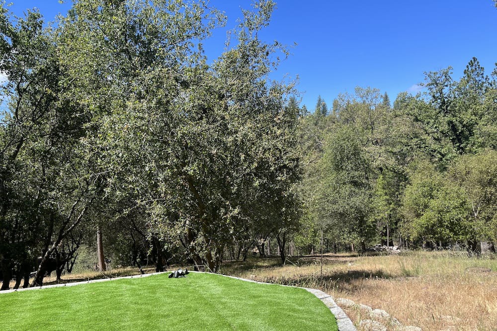 Photo of Outdoor in Groveland