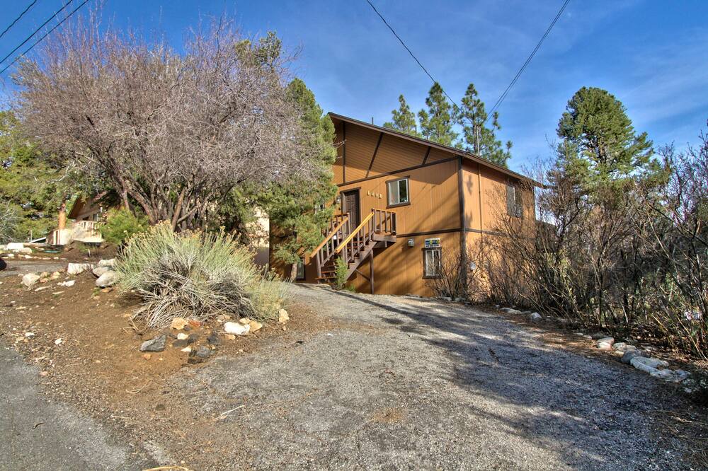 Photo of Outdoor in Whispering Forest