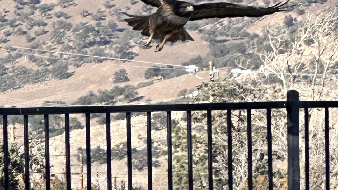 Photo of Others in Tehachapi