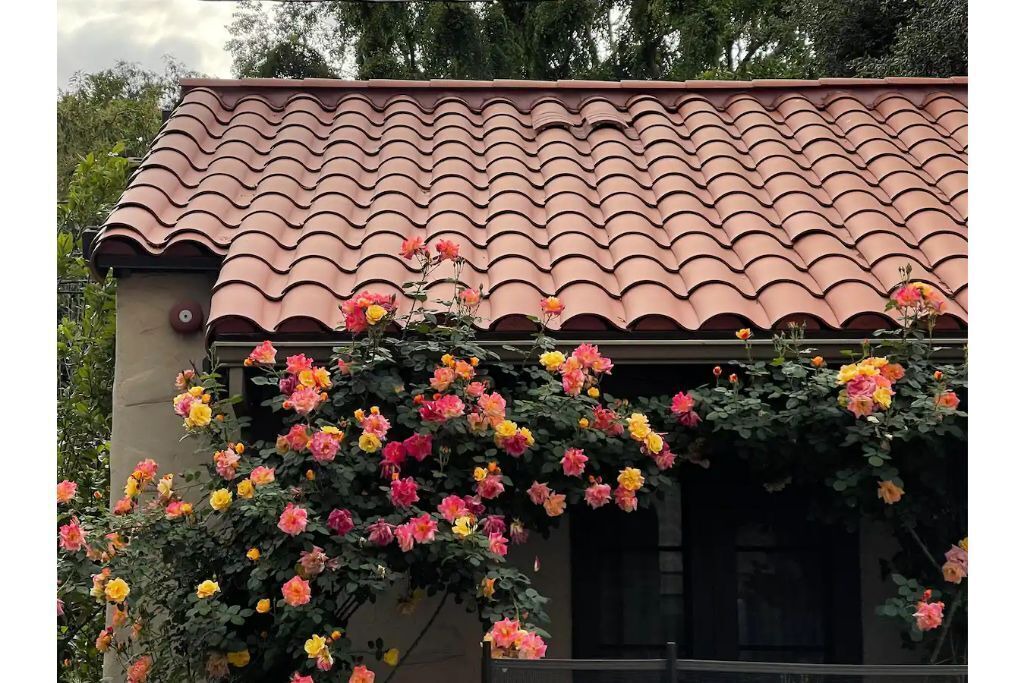 Photo of Outdoor in Altadena