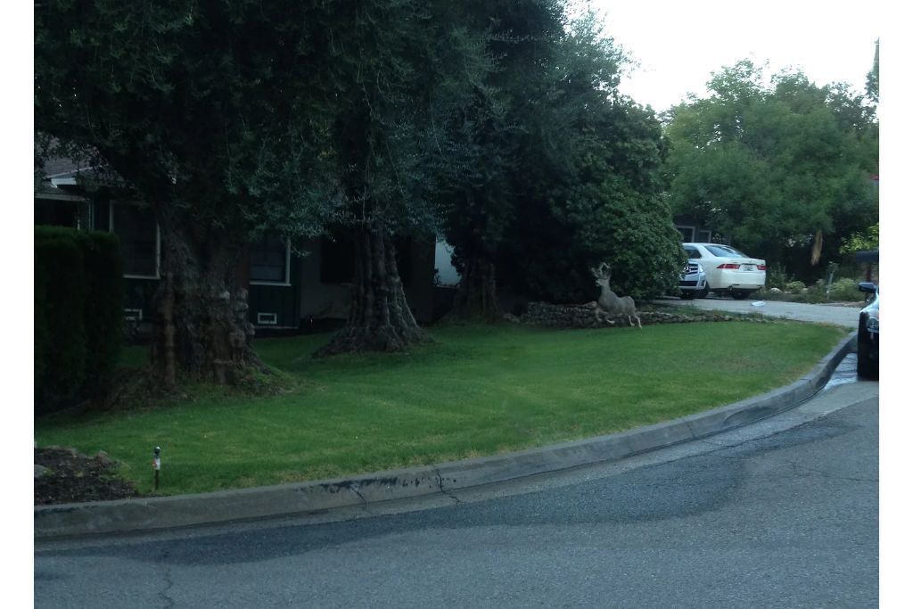 Photo of Outdoor in Altadena