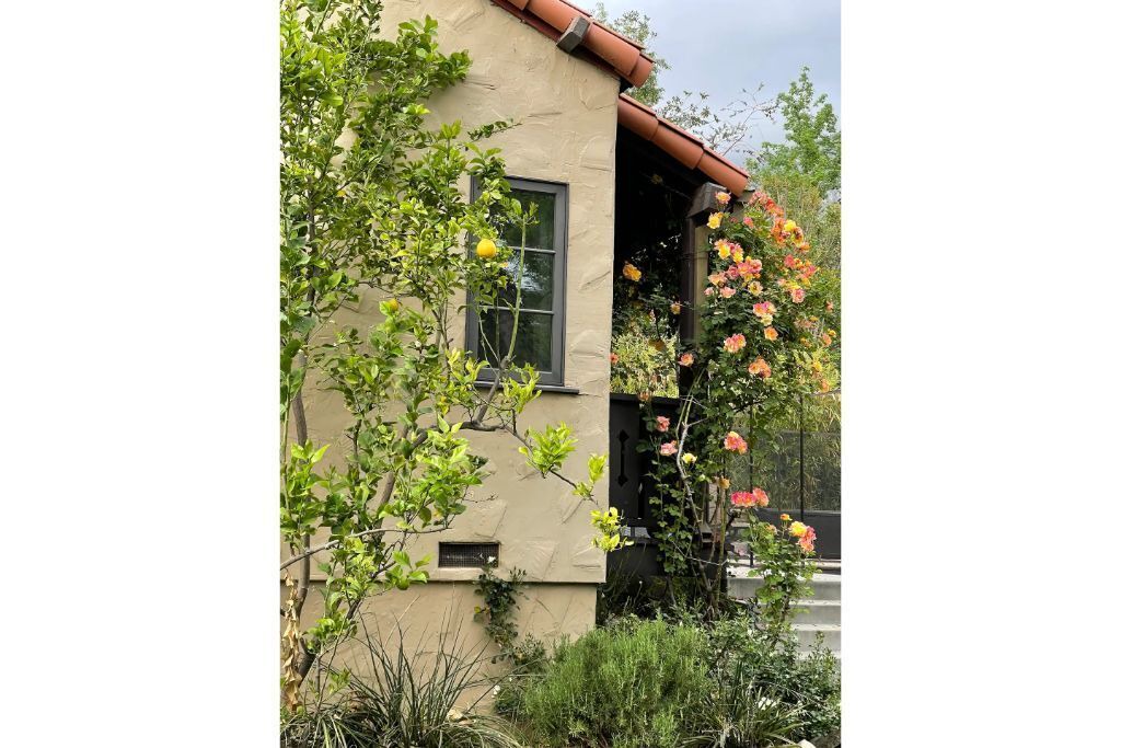 Photo of Outdoor in Altadena