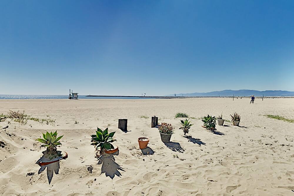 Photo of Others in Playa Del Rey