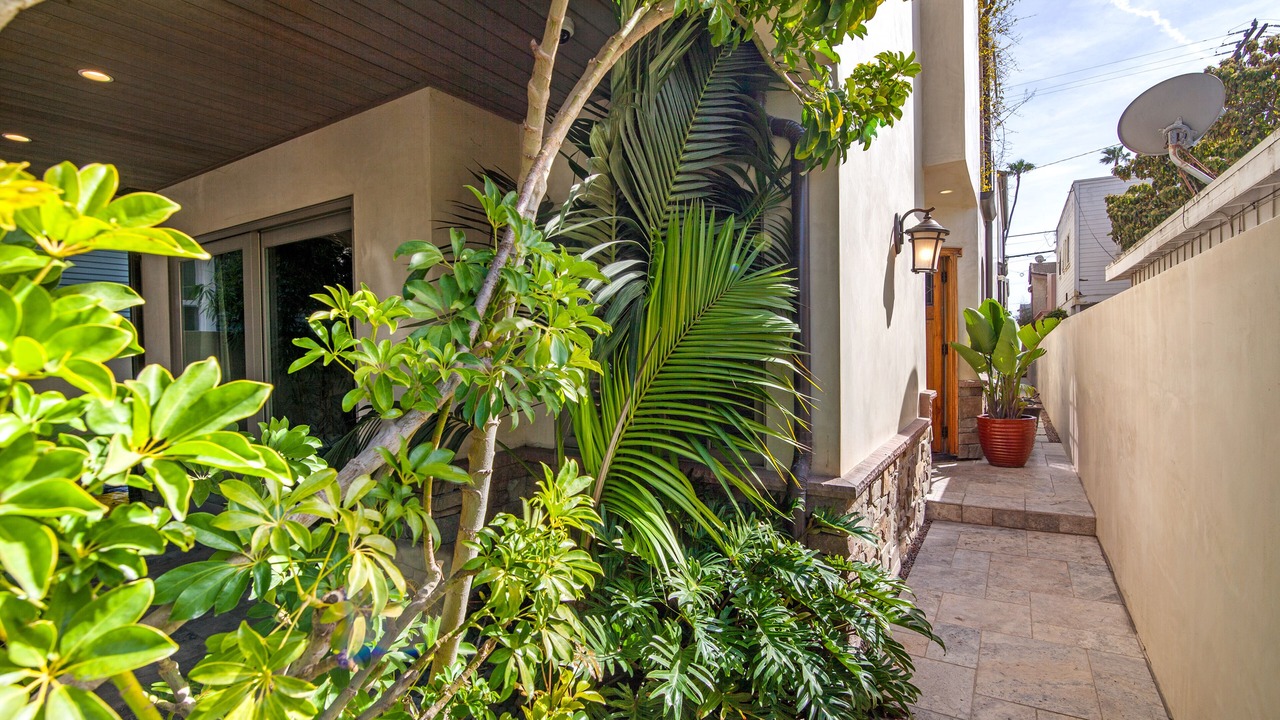 Photo of Outdoor in Old Towne