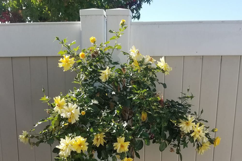 Photo of Outdoor in Chino