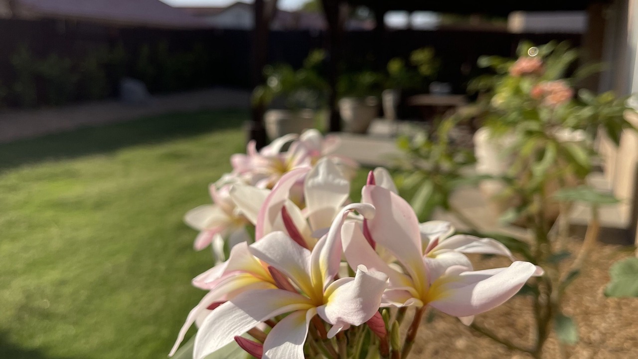Photo of Outdoor in Thousand Palms
