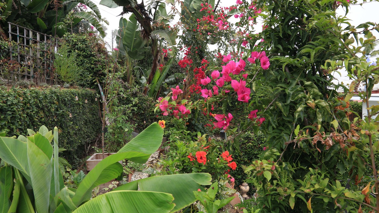 Photo of Outdoor in Playa Del Rey