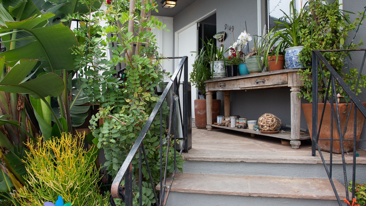 Photo of Outdoor in Playa Del Rey