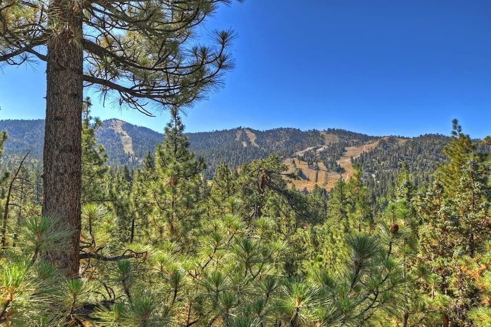 Photo of Outdoor in Upper Moonridge