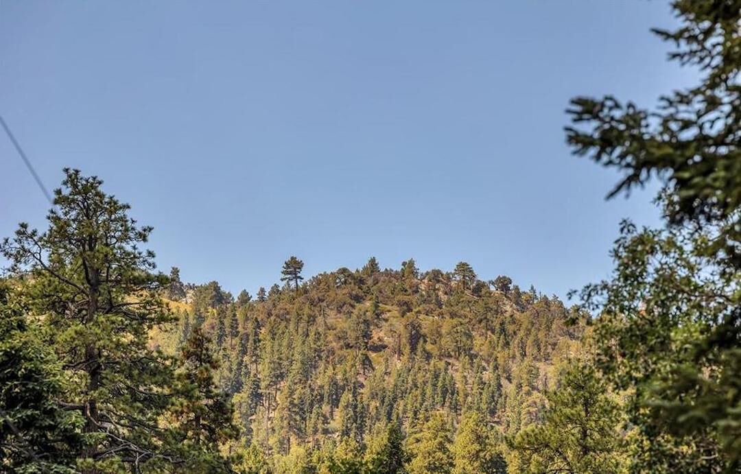Photo of Others in Moonridge