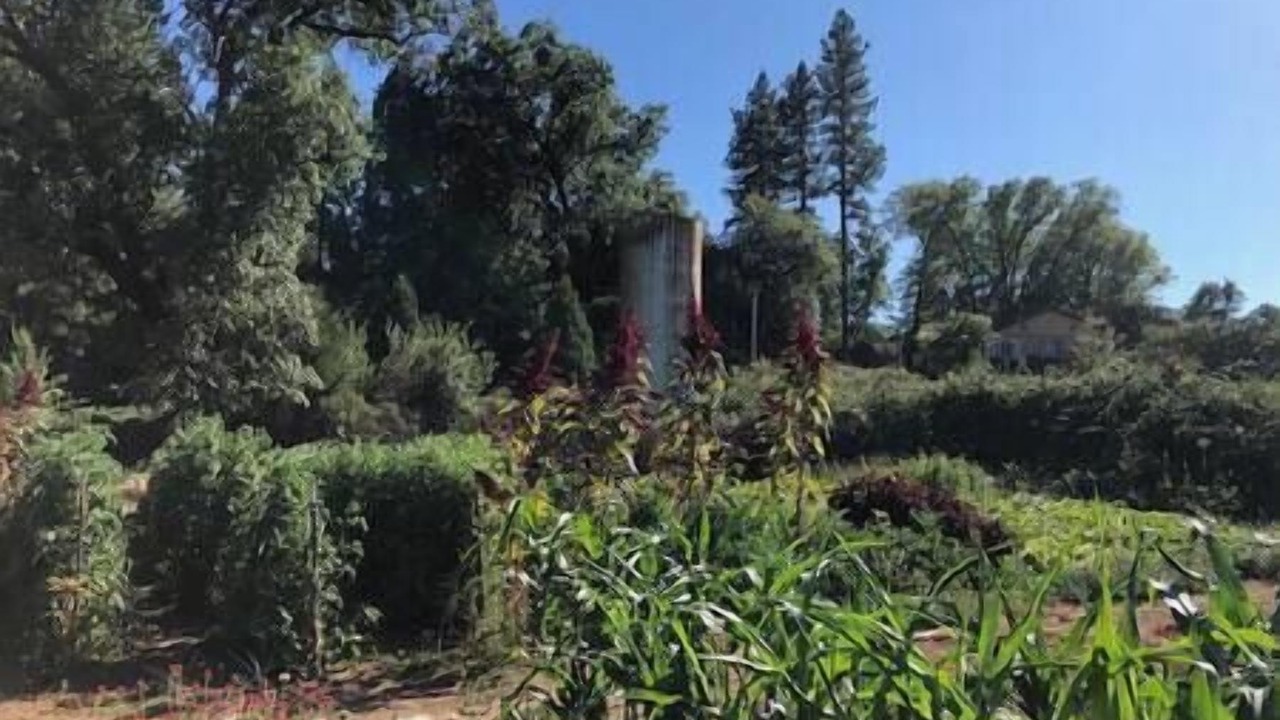 Photo of Outdoor in North San Juan