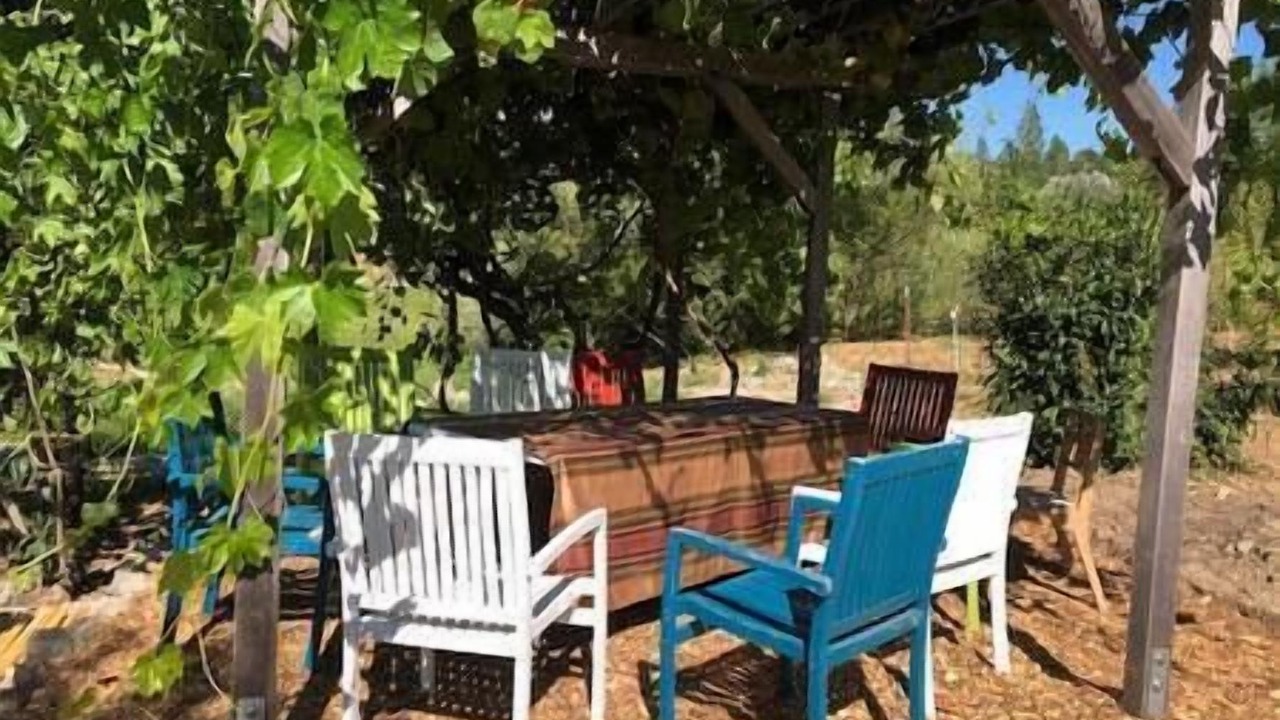 Photo of Outdoor in North San Juan