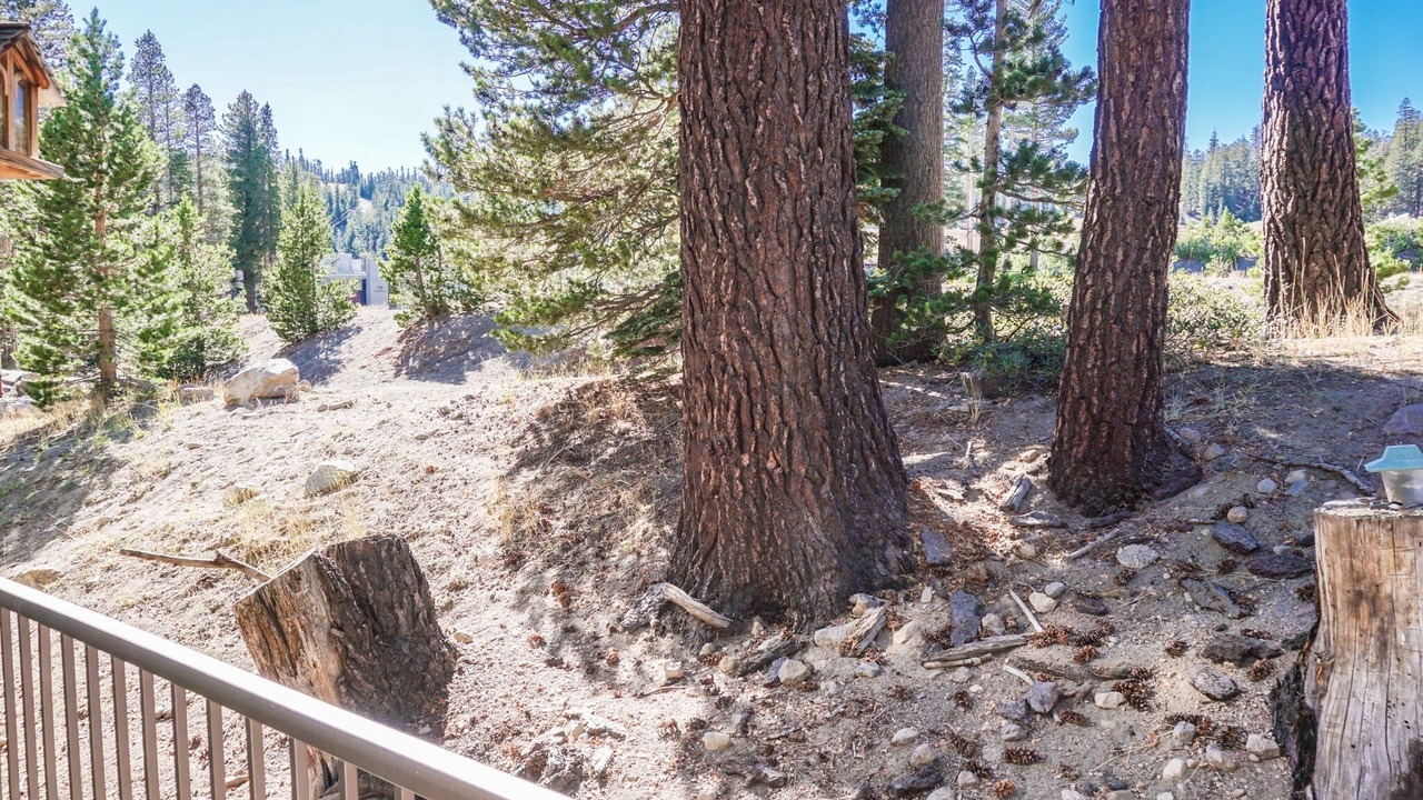 Photo of Others in Mammoth Lakes