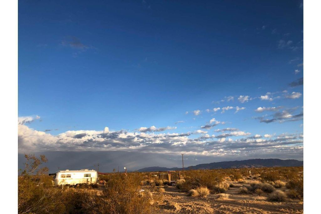 Photo of Others in Joshua Tree