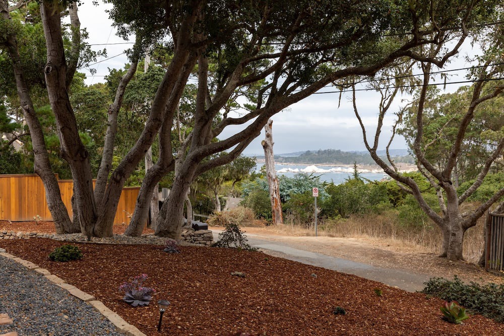 Photo of Outdoor in Carmel Highlands