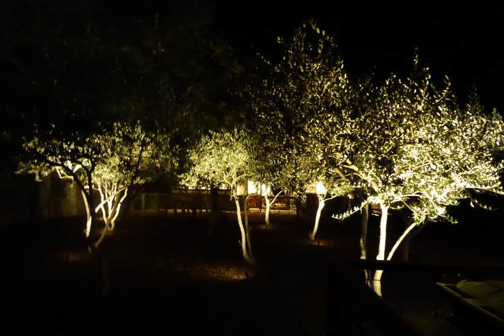Photo of Others in St. Helena