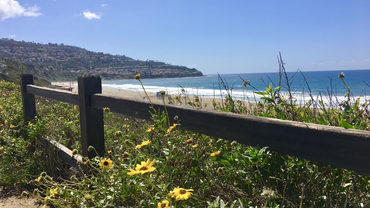 Photo of Others in Torrance Beach