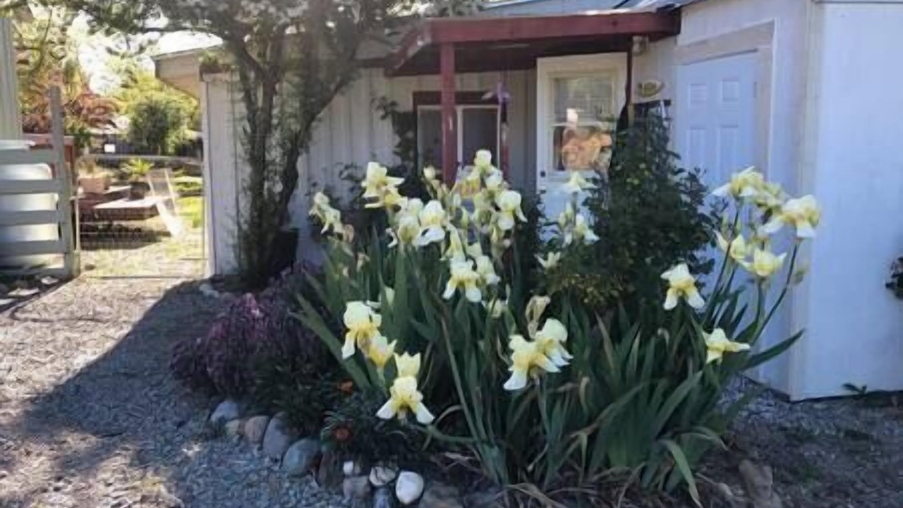 Photo of Outdoor in North San Juan