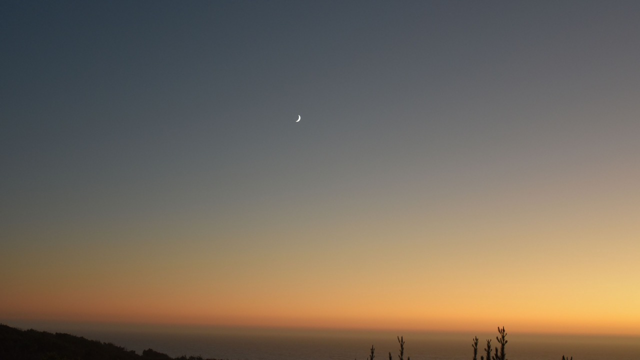 Photo of Outdoor in Timber Cove