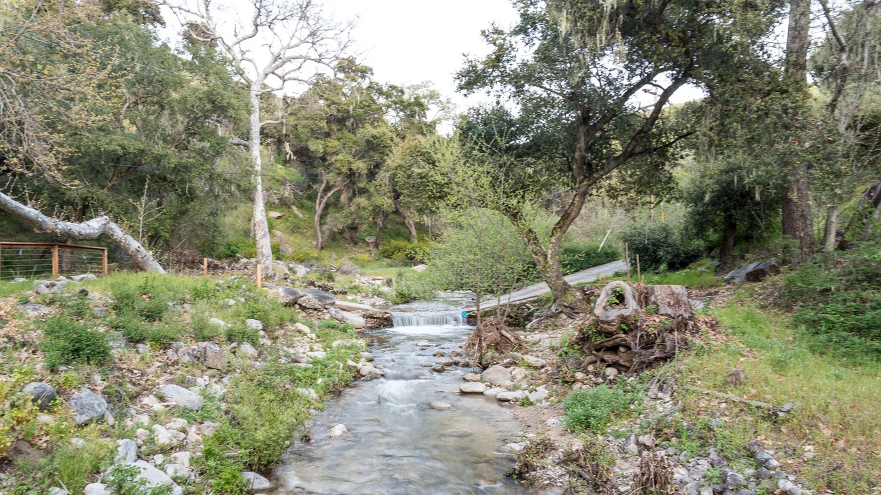 Photo of Outdoor in Carmel Valley