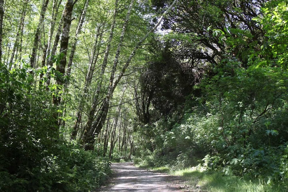 Photo of Outdoor in Fort Bragg