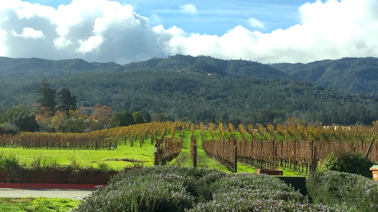 Photo of Outdoor in Jenner